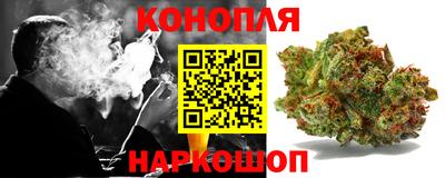 шишки Коммунар