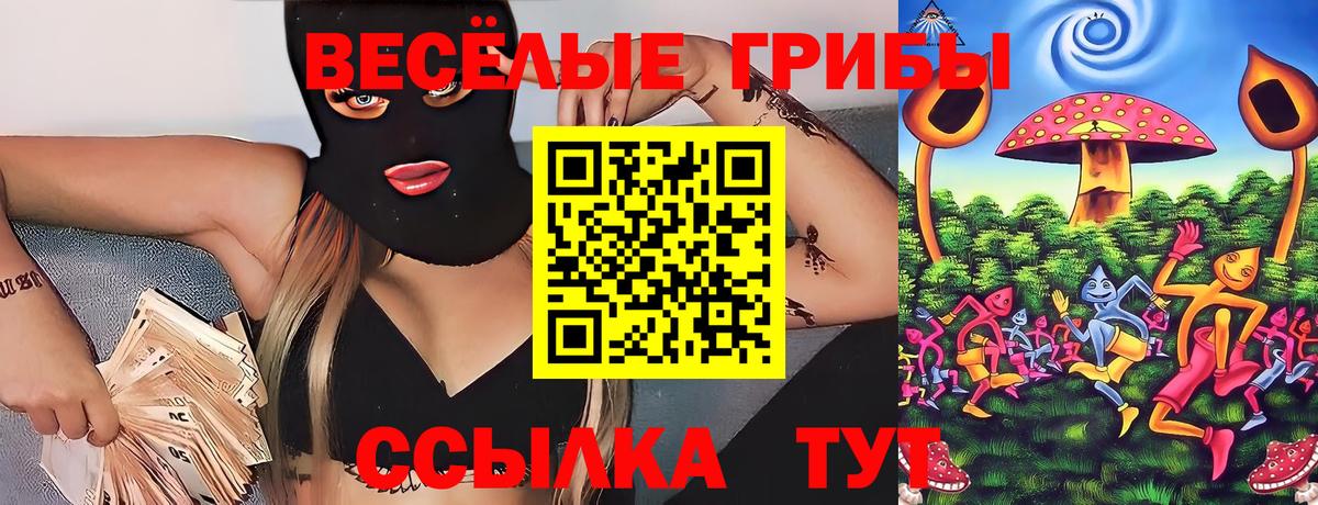 Галлюциногенные грибы Psilocybine cubensis Заводоуковск